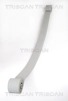 Paket pružin TRISCAN 8765 23019