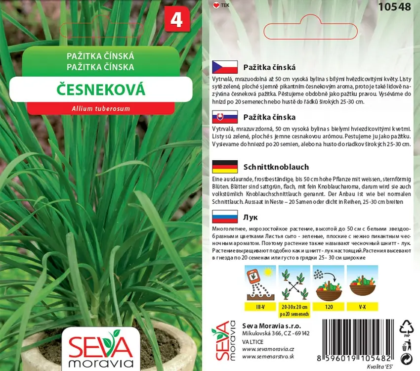10548 Pažitka čínská (česneková) 1,5g / 2308