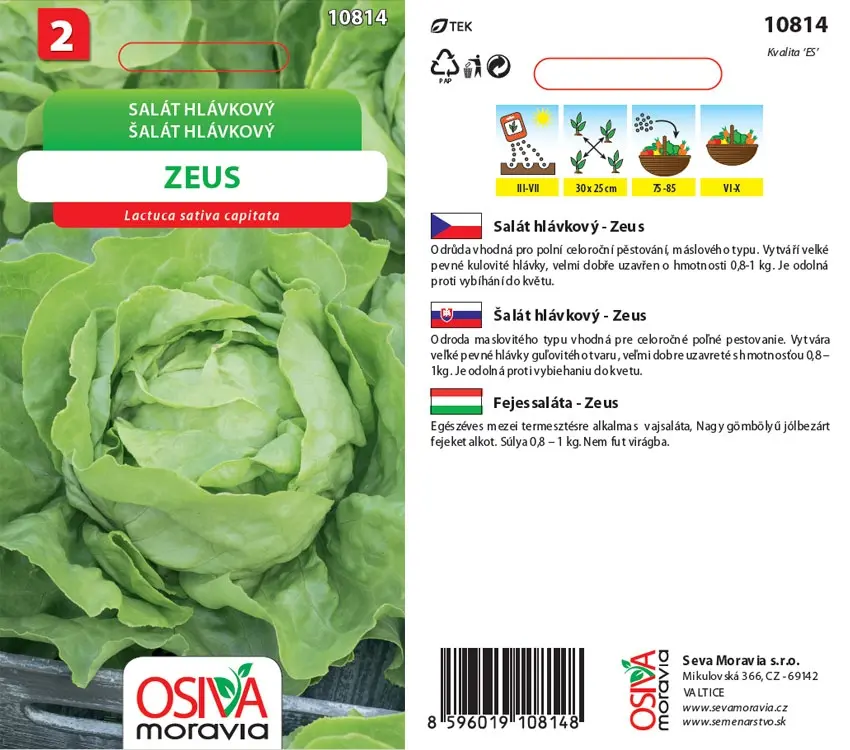 Semínka Salát hlávkový Zeus (Lactuca sativa capitata)