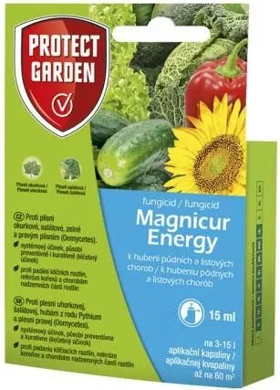 Magnicur Energy 15ml