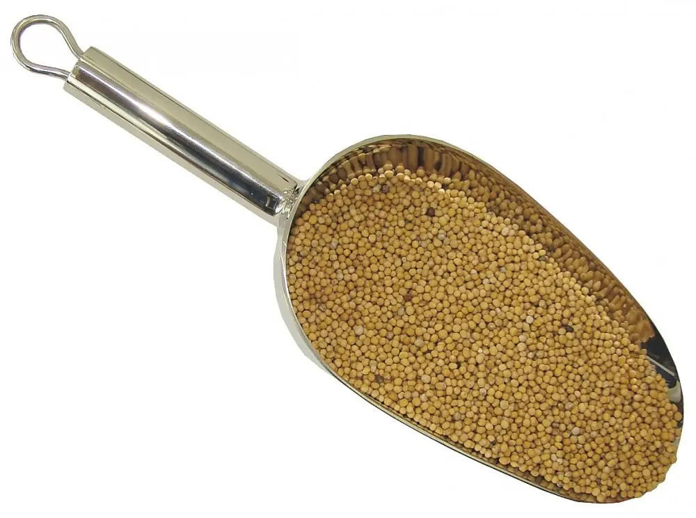 Hořčice 200g
