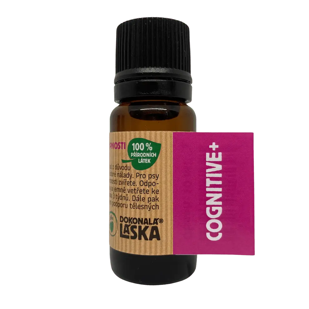 Dokonalá Láska COGNITIVE+