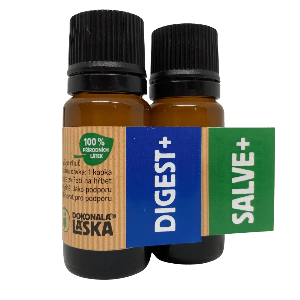Dokonalá Láska ZVÝHODNĚNÝ BALÍČEK DIGEST+ A SALVE+