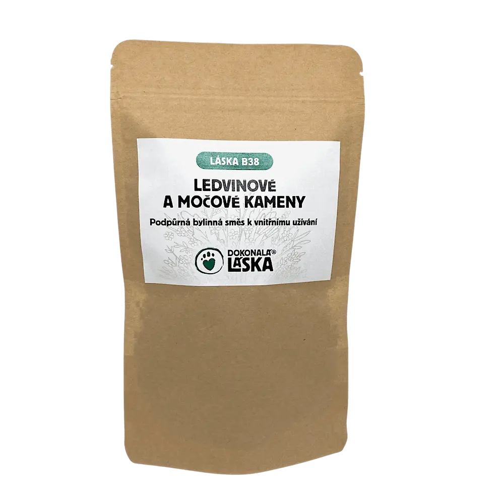 Dokonalá Láska Láska B38 LEDVINOVÉ A MOČOVÉ KAMENY 200 g