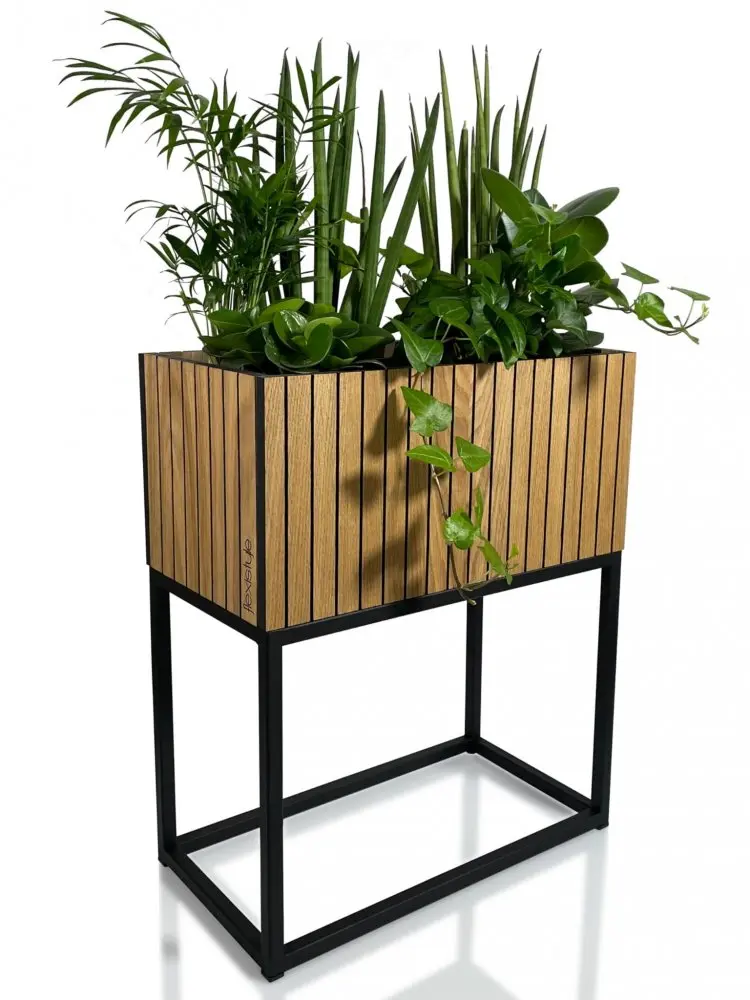 Nádherný květináč přírodní dubové dýhy LOFT FIORINO 42X22X50 cm