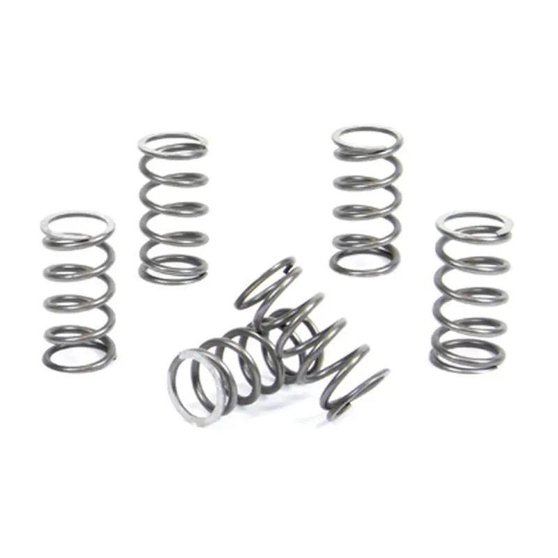 PROX spojkové pružiny KAWASAKI KX 60/65 83-22, SUZUKI RM 65 03-05 (PROX spojkové pružiny KAWASAKI KX 60/65 83-22, SUZUKI RM 65 03-05)