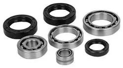 ALL BALLS sada na opravu převodovky POLARIS RZR 900/1000 16-19, RZR XP 14-19 (ALL BALLS sada na opravu převodovky POLARIS RZR 900/1000 16-19, RZR XP)