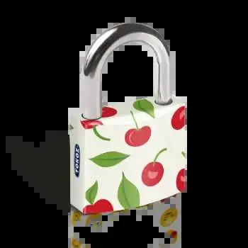 Visací zámek TOKOZ ART cherry