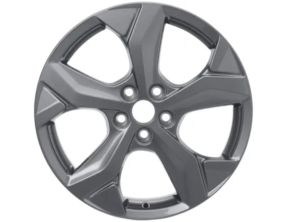Kolo z lehké slitiny 18" Provedení s 5 paprsky Y, Carbonized Grey