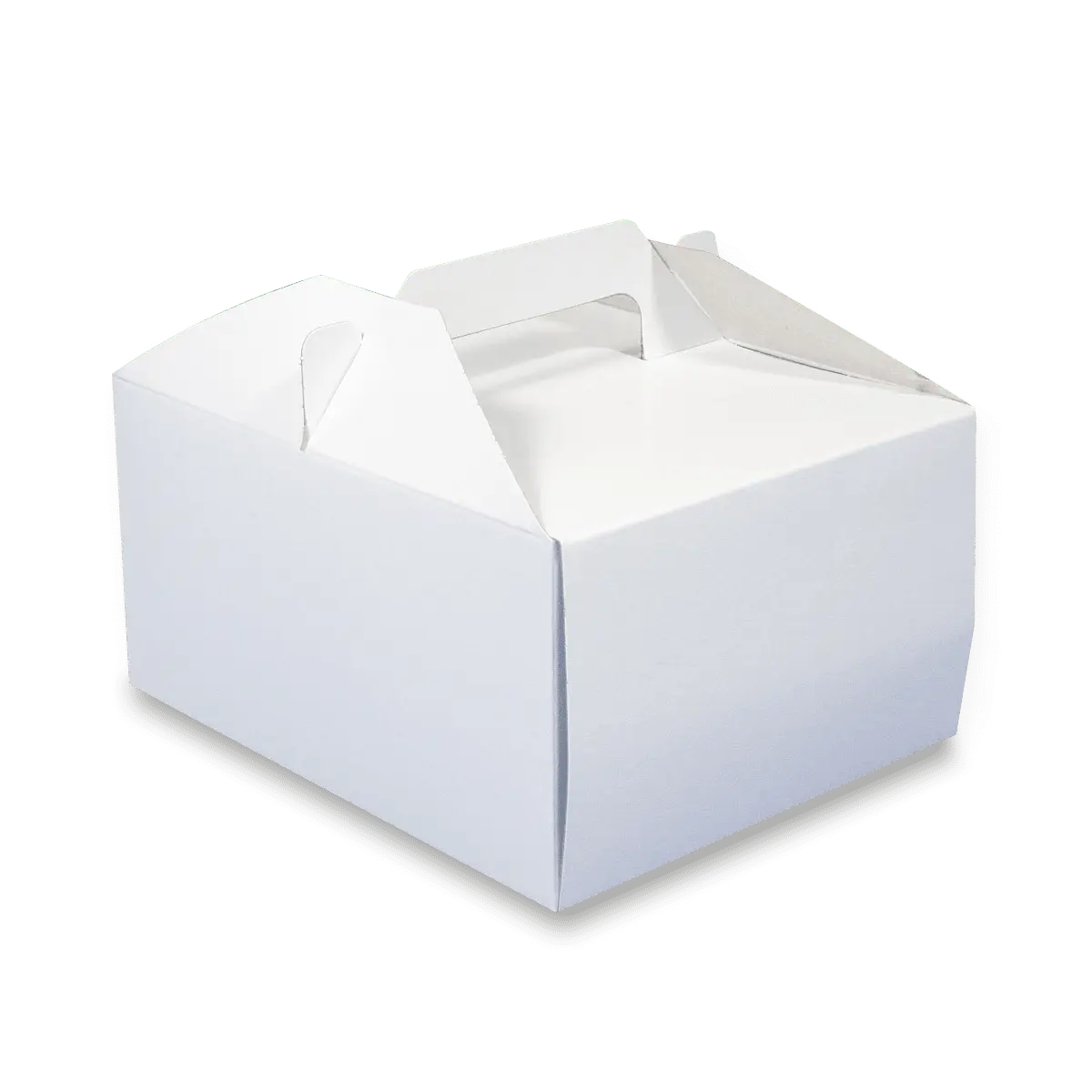 Ideal - odnosová krabice - 18,5 x 15 x 9,5 cm, 50 ks