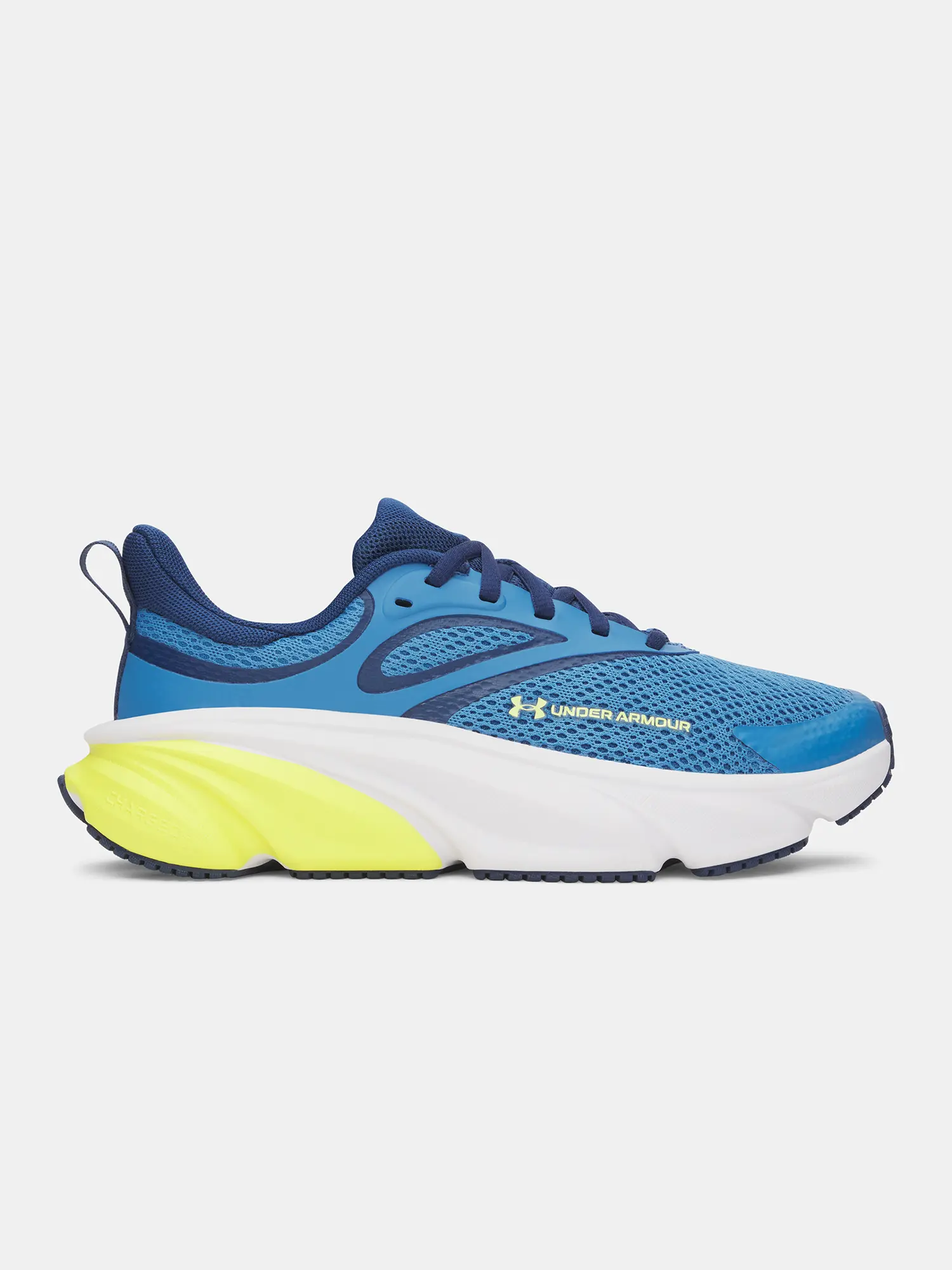 Under Armour UA BGS Rogue 6 chlapecké zimní boty