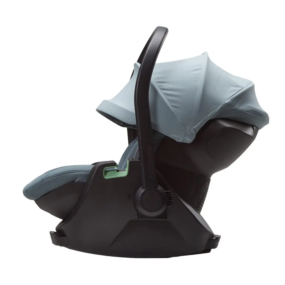 Thule Maple -