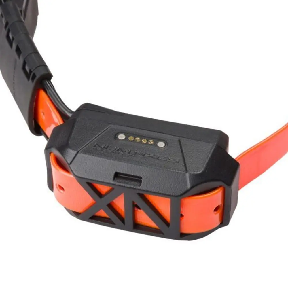 Obojek a přijímač Canicom GPS mini s impulsem | Náhradní příslušenství | P59033