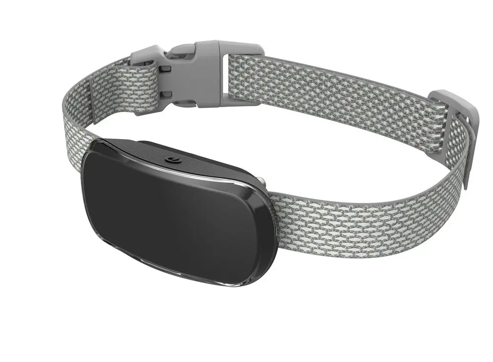 Reedog TC-005 | Protištěkací obojek - černá | P55606