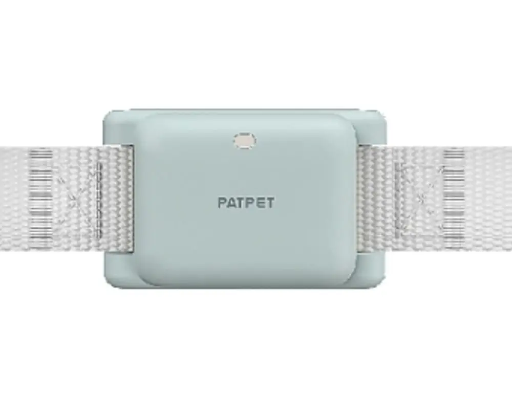 Patpet Obojek a přijímač pro Patpet 628 - Modrá | P56083
