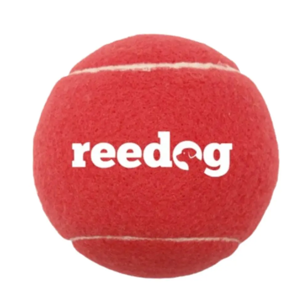Reedog tenisový míček pro psa - XL | P48121