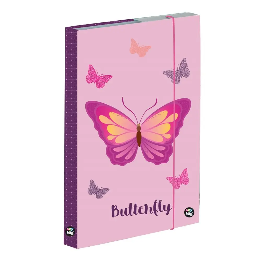 Box na sešity A5 KARTON P+P - Motýl 3