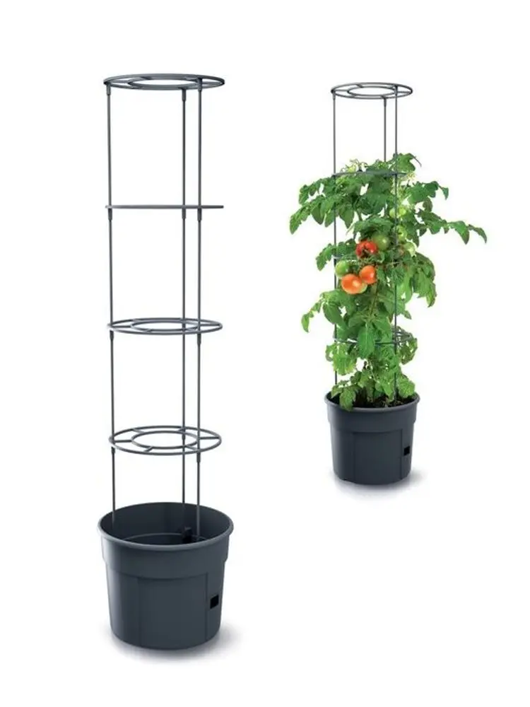 květ. d39,2x31,5cm TOMATO GROWER, na rajčata, antracit