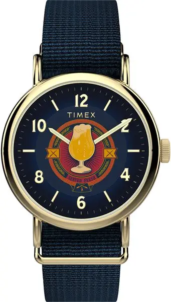 TIMEX TW2Y76100QY