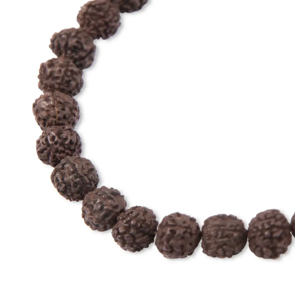 Korálek ze semínka Rudraksha dobarvovaný tmavě hnědý 10 mm -
