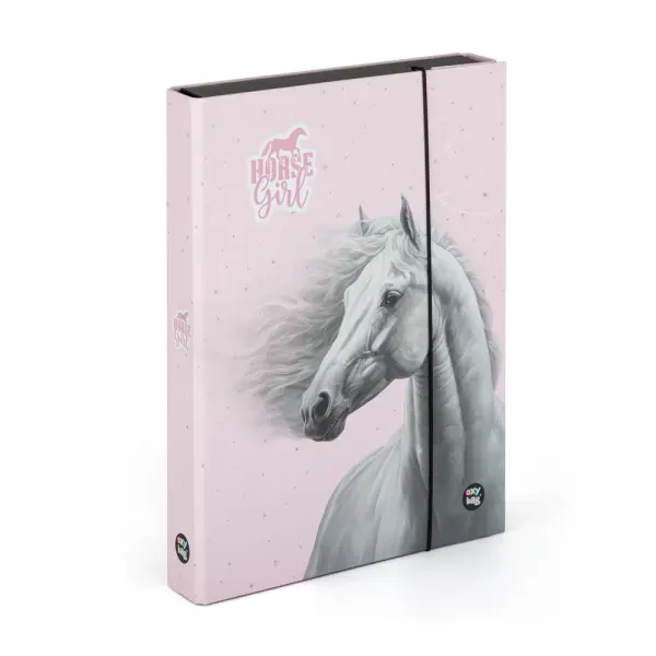 Box na sešity A4 Jumbo KARTON P+P - Kůň Romantic
