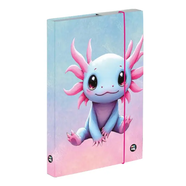 Box na sešity A4 Axolotl - Karton P+P