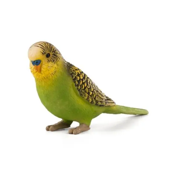 Mojo Andulka