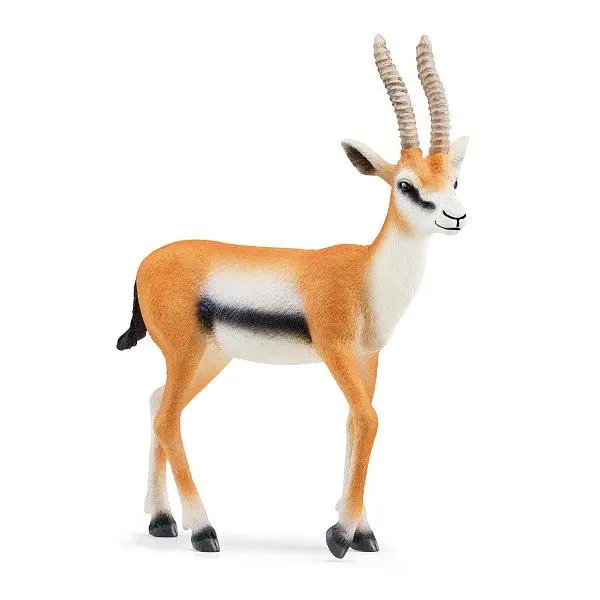 Gazela Thomsonova - Schleich 14861