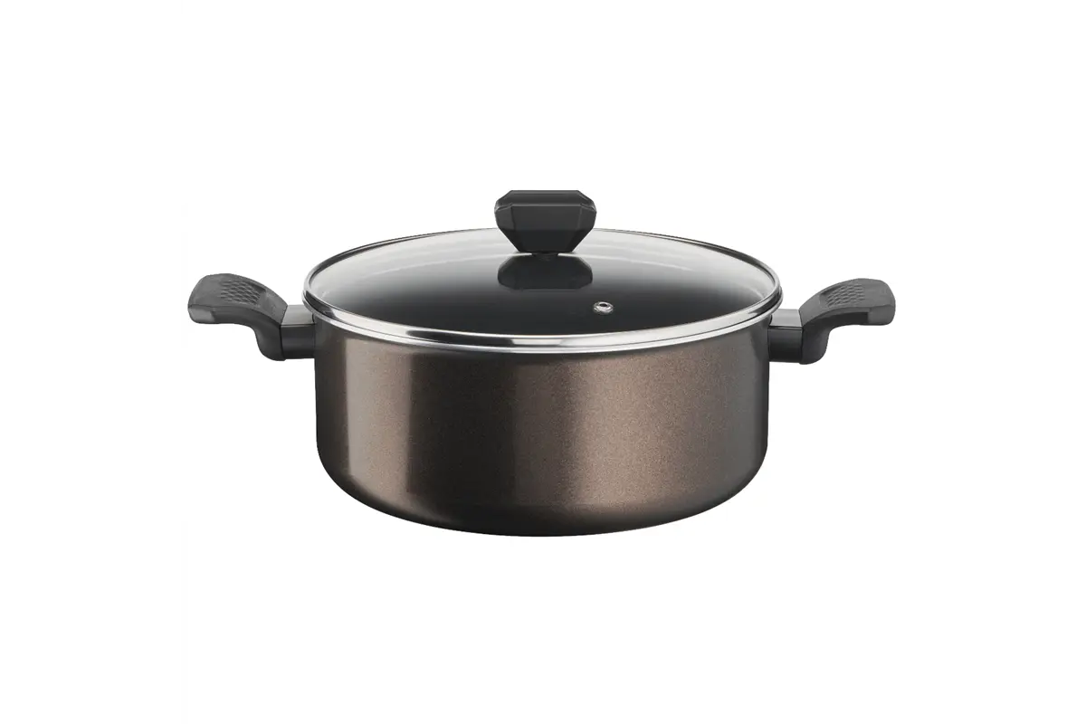 Kastrol s poklicí Tefal Easy Cook & Clean 24 cm B5544653