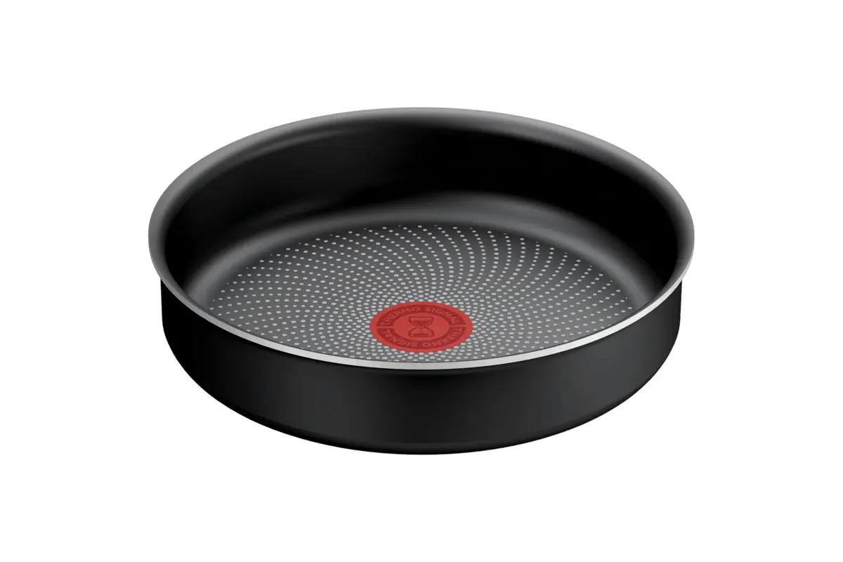 Pánev Tefal Ingenio Generous Cook L31203 22 cm