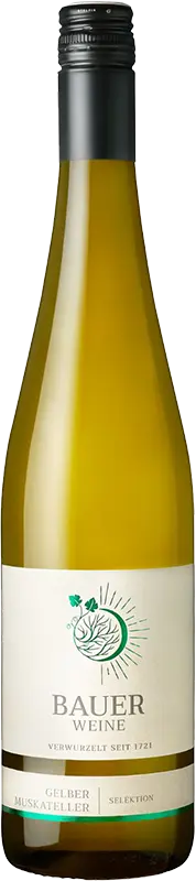 Weingut Norbert Bauer Bauer Gelber Muskateller 2023 Selektion Bio