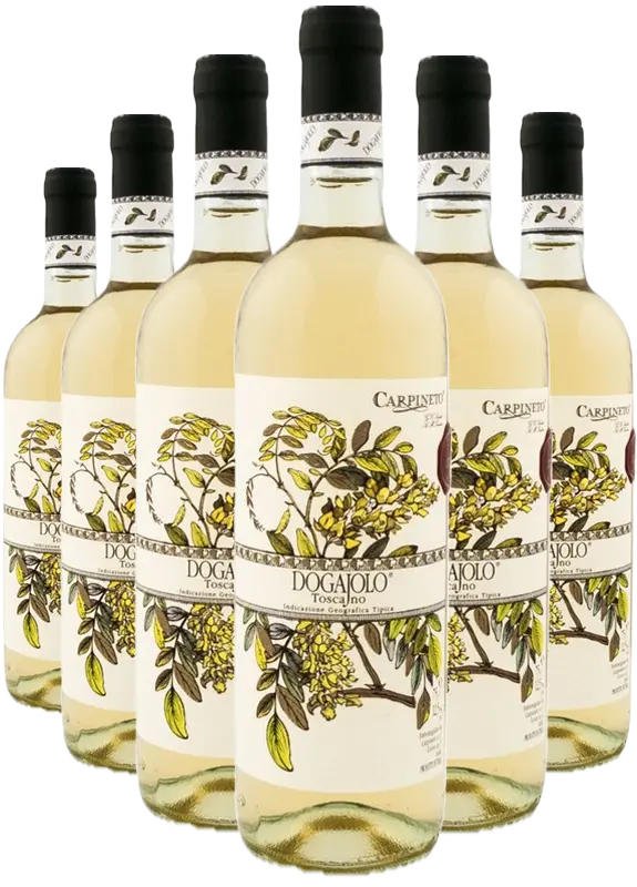 Carpineto Carpineto Dogajolo Bianco 2022 IGT 5+1