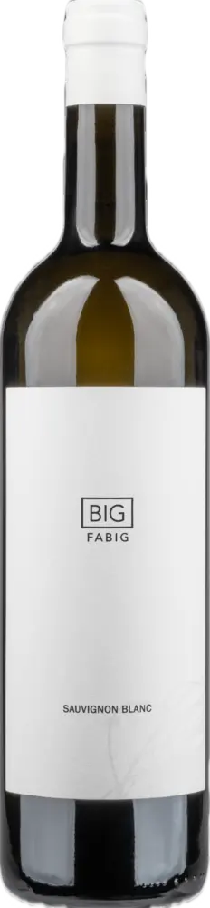 Fabig Fabig BIG Sauvignon Blanc 2023