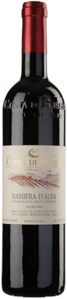 Costa di Bussia Costa di Bussia Barbera d'Alba 2024