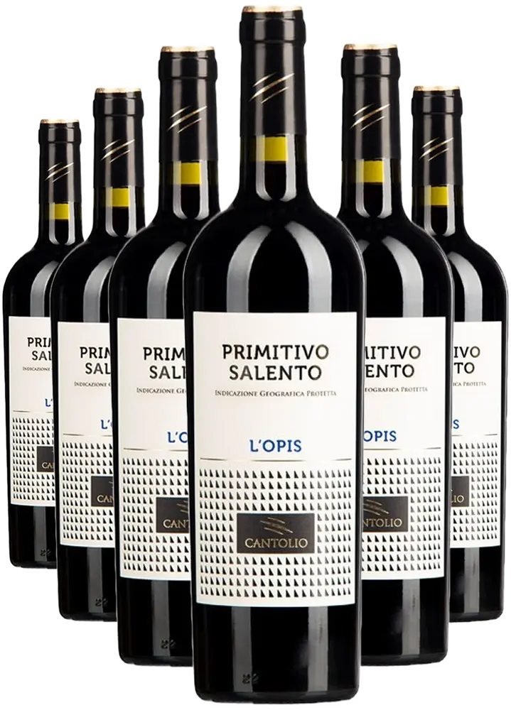 Cantolio Set Cantolio Salento Primitivo IGP 2024 4+2