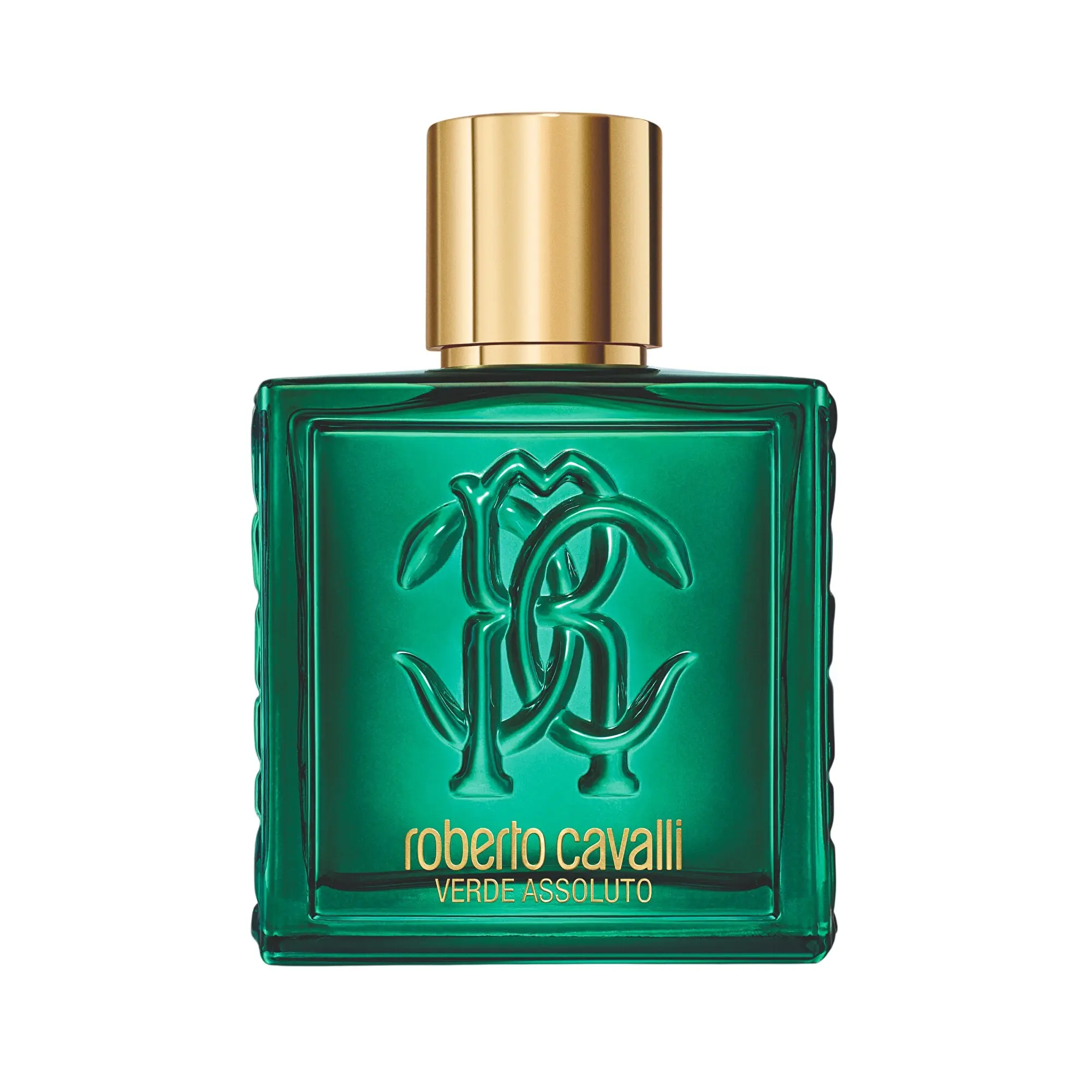 Roberto Cavalli Uomo Verde Assoluto - EDP 100 ml