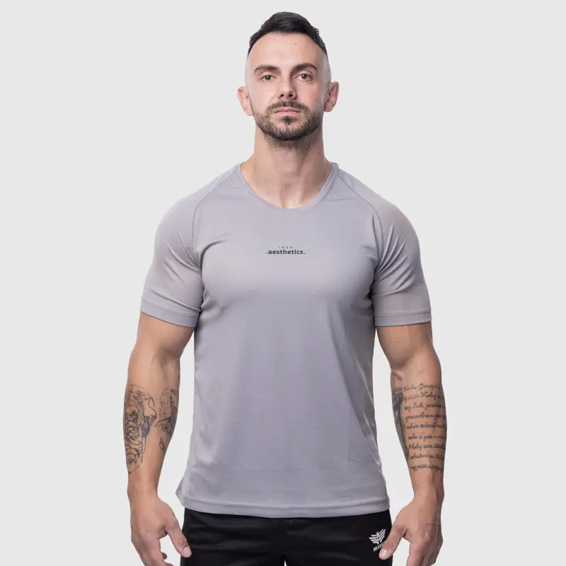 Pánské sportovní tričko Iron Aesthetics Training, šedé