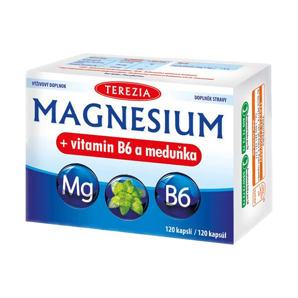 TEREZIA Magnesium+vitamin B6 a meduňka cps.120
