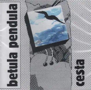 Cesta