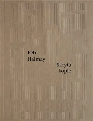 Skrytá kopie