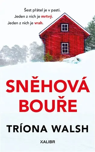 Sněhová bouře
