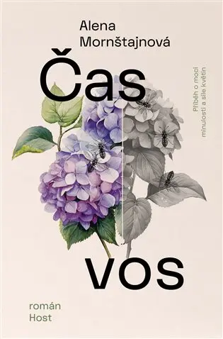 Čas vos