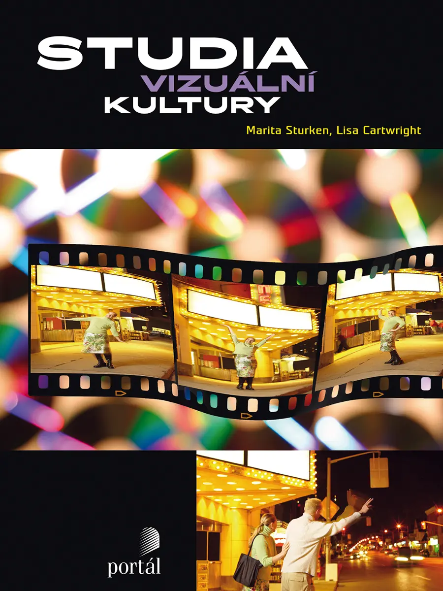 Studia vizuální kultury