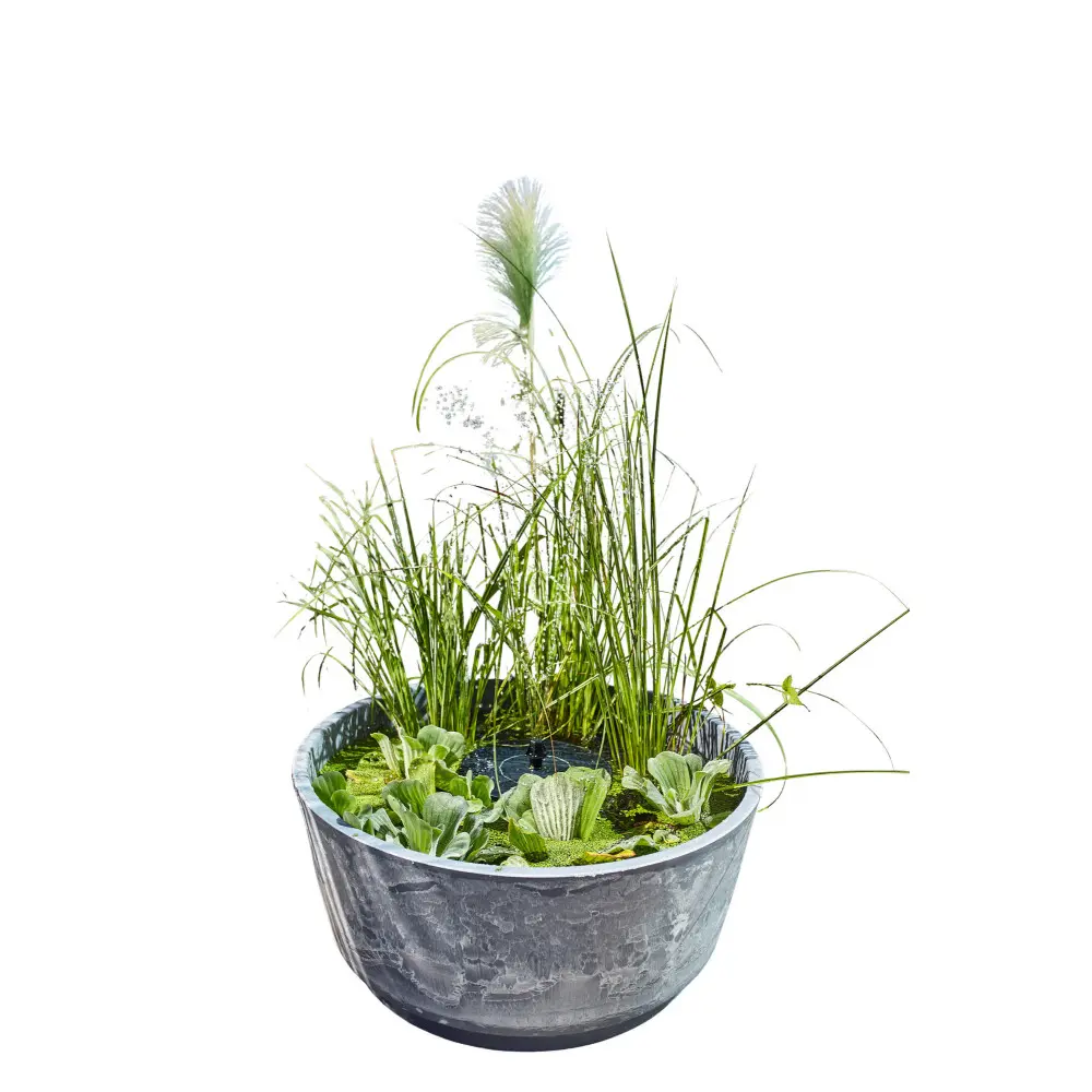 Solární mini jezírko HEISSNER Aquatopia 015211-09-SL, Ø 46 × 21 cm, betonový vzhled