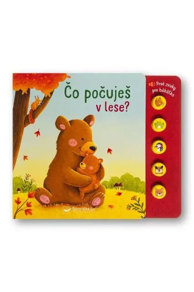 Čo počuješ v lese?