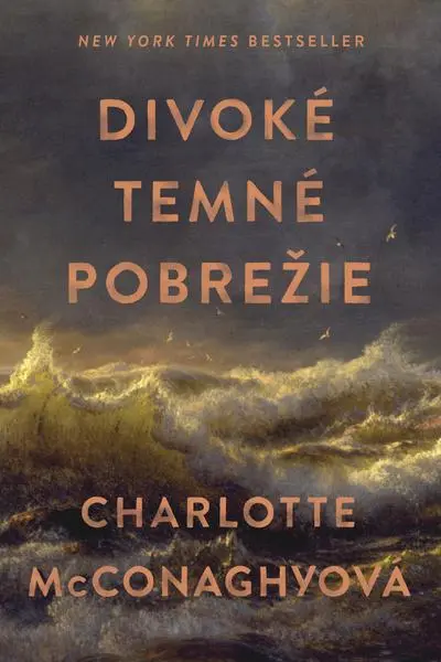 Divoké temné pobrežie