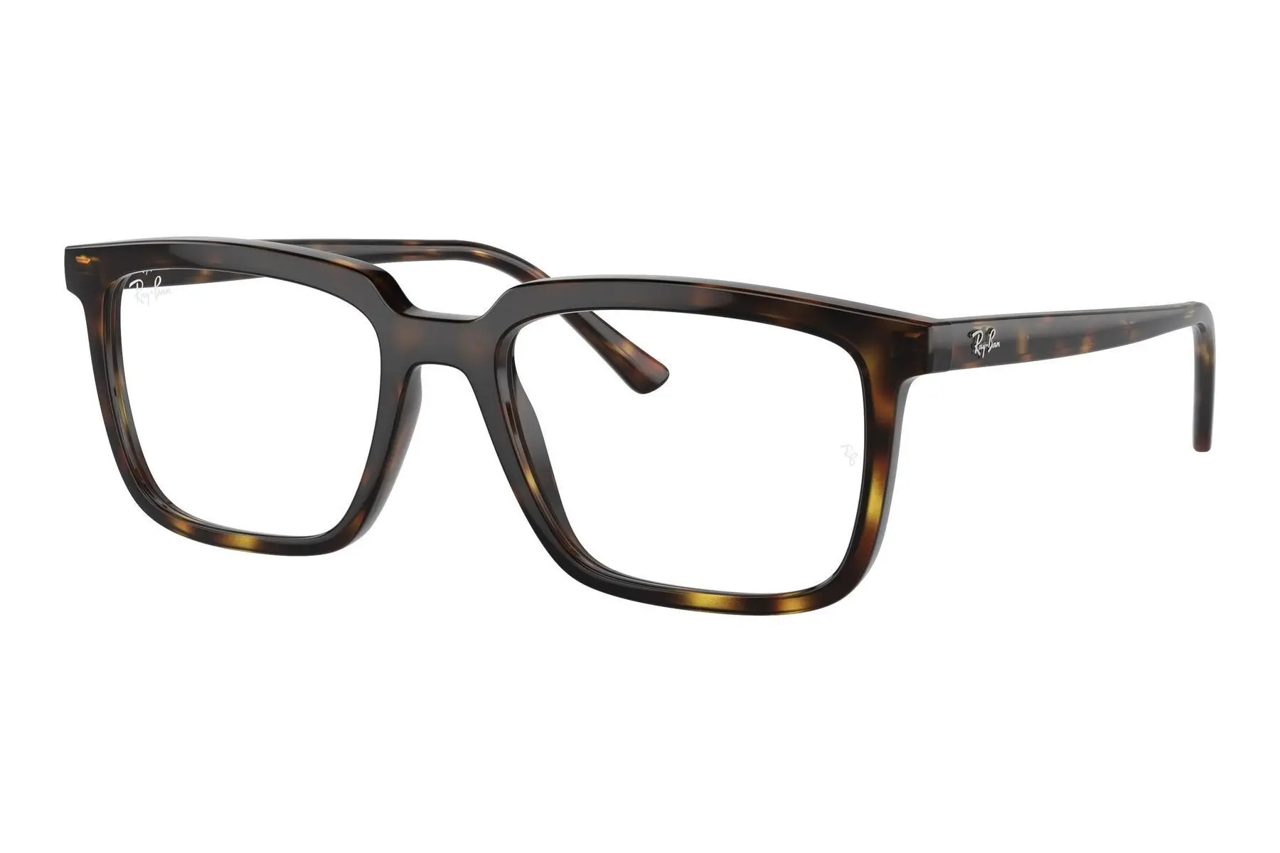 Ray-Ban Alain RX7239 2012 - L (54)