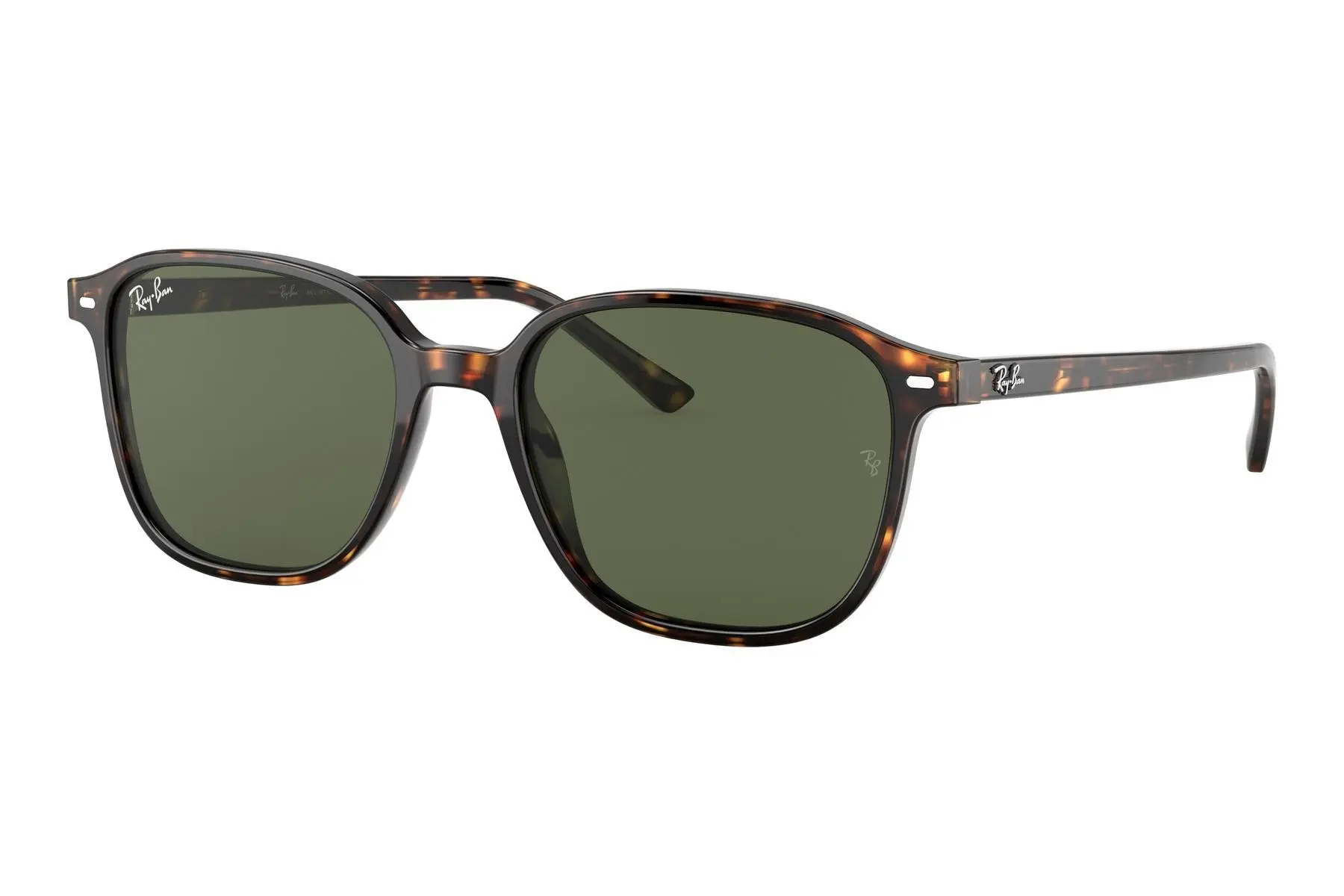 Ray-Ban Leonard RB2193 902/31 - M (53)