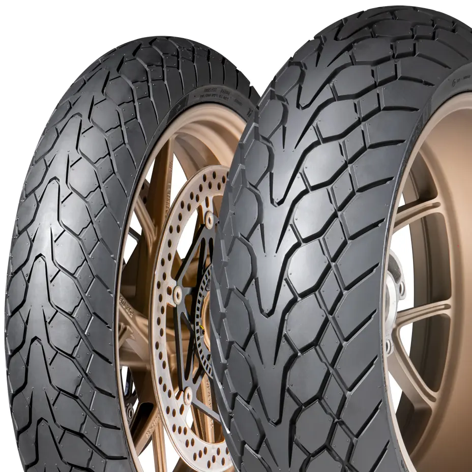 Dunlop Mutant ( 180/55 ZR17 TL (73W) zadnÃÂ kolo, M/C )
