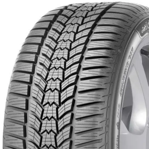 Sava Eskimo HP2 205/55 R16 91 H
